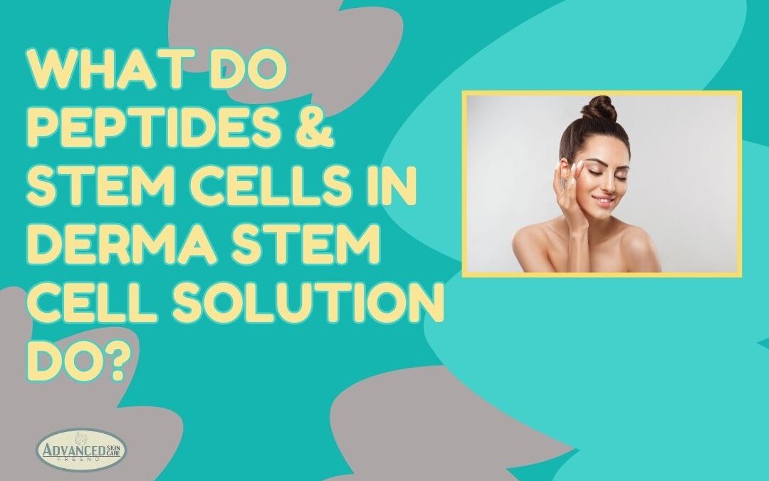 What do peptides & stem cells in derma stem cell solution do?